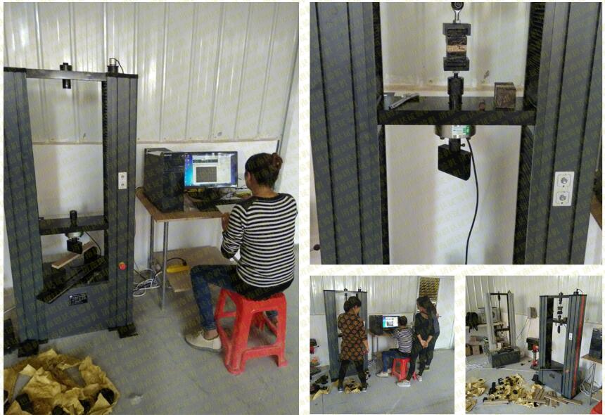 �����K������������f(w��n)��ԇ�(y��n)�C(j��)�͑��F(xi��n)��(ch��ng)�D